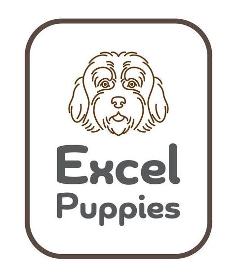 Excel Puppies - Logo excel